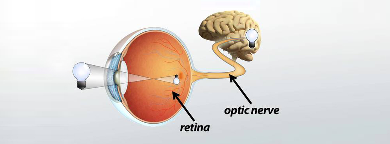 Optical Vision Eye Stem Cell Center India