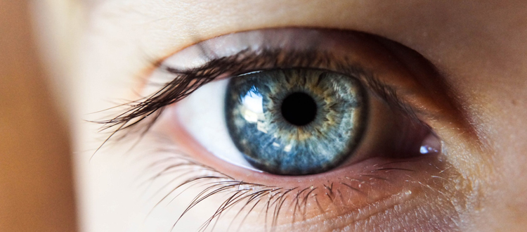 Eye–Most-Important-and-Developed-Sense-Organ