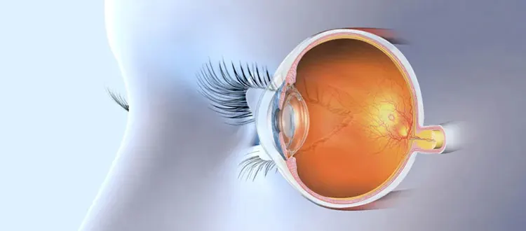 optic-atropy treatment cost