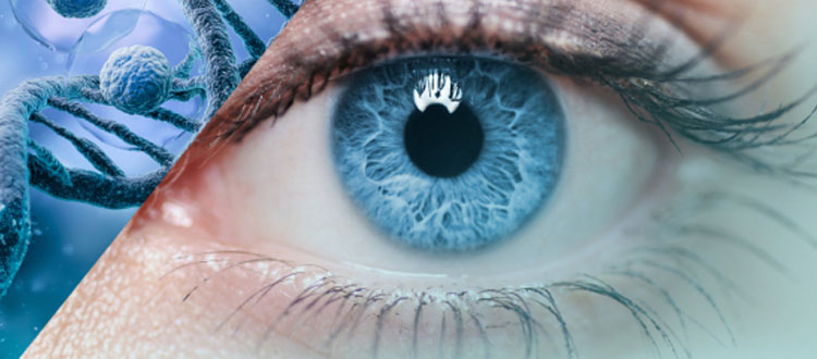 stem-cell therapy for eye injury