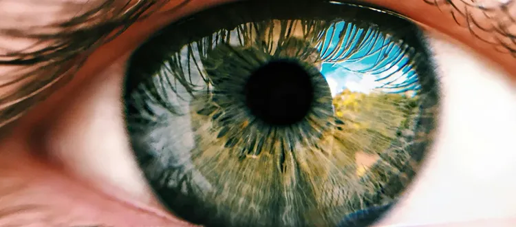 eye-treatment-with-stem-cells-1